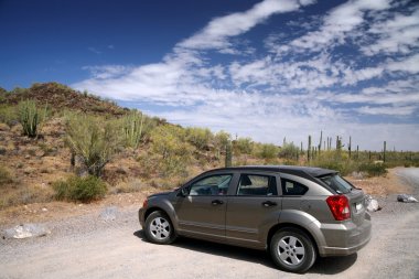 Car in the Organ Pipe National Monument clipart