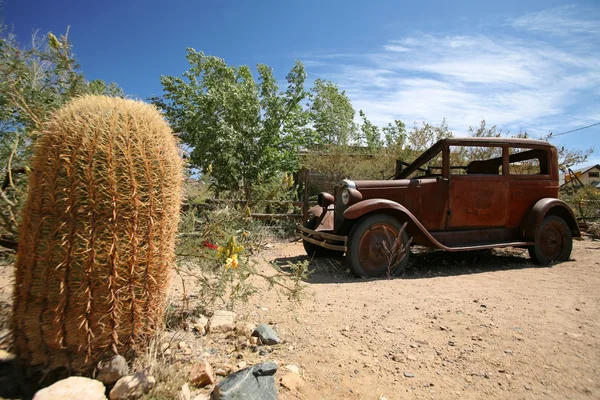 Vintage car outdoors with cactus — Stock Photo, Image