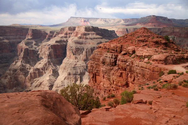 Grand canyon zachodniej części, park narodowy — Zdjęcie stockowe