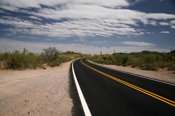 Road in the Organ Pipe National Monument — Stock Photo, Image