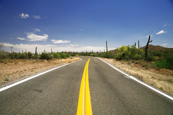 Дорога в пустыне, Юта, США — стоковое фото