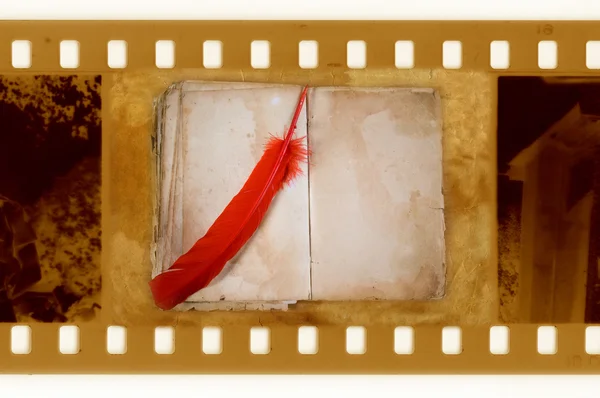 35mm frame photo vs vintage feather — Stock Photo, Image