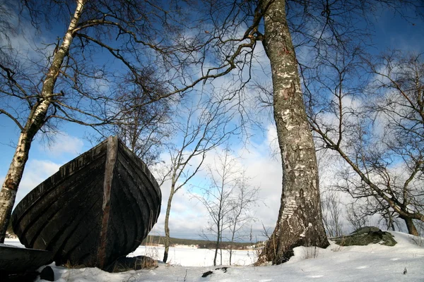 Inverno no lago — Fotografia de Stock