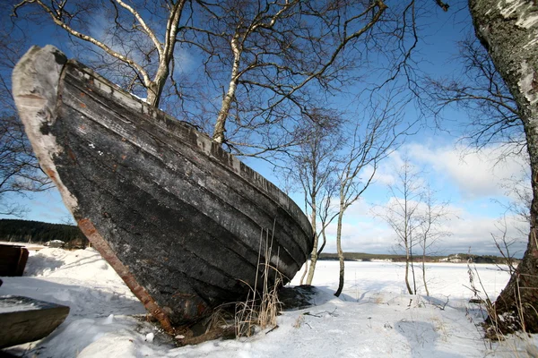 Winter in lake — Stockfoto