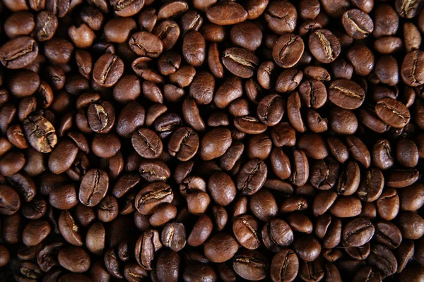 穀物コーヒー — ストック写真