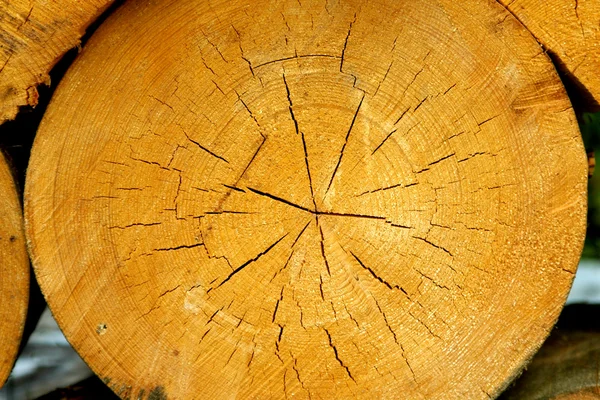 Logboeken, brandhout — Stockfoto