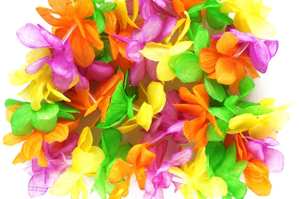 stock image Hawaiian colorful flowers