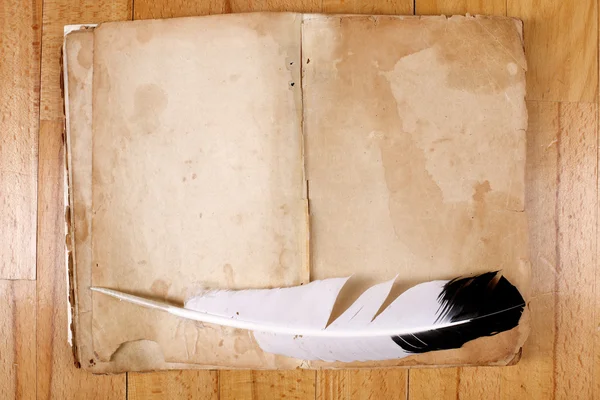 羽を持つヴィンテージ メッセージ ブック — ストック写真