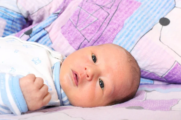 Newborn baby 12 days — Stock Photo, Image