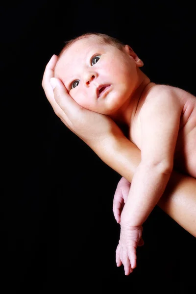 Newborn baby 15 days old in hand — Stock Photo, Image