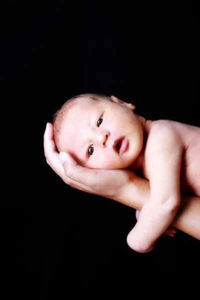 Novorozené dítě 15 dní v ruce — Stock fotografie
