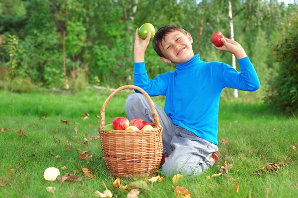 Little boy outdoors with apples — Stock Photo, Image