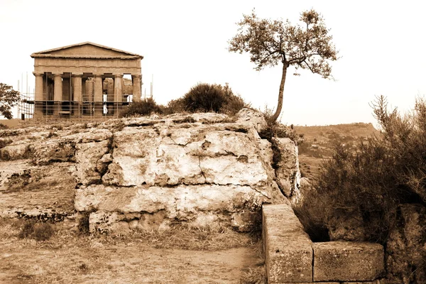 İtalya, Agrigento'da Yunan tapınağı — Stok fotoğraf