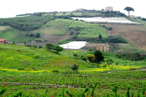 Vista clássica para a zona rural da Sicília — Fotografia de Stock