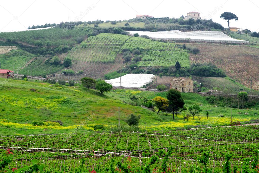 Classical view to rural area in Sicily