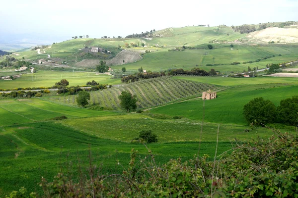 Velha Itália, zona rural da Sicília — Fotografia de Stock