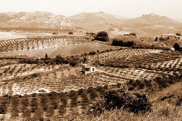 Eski İtalya, Sicilya kırsal — Stok fotoğraf