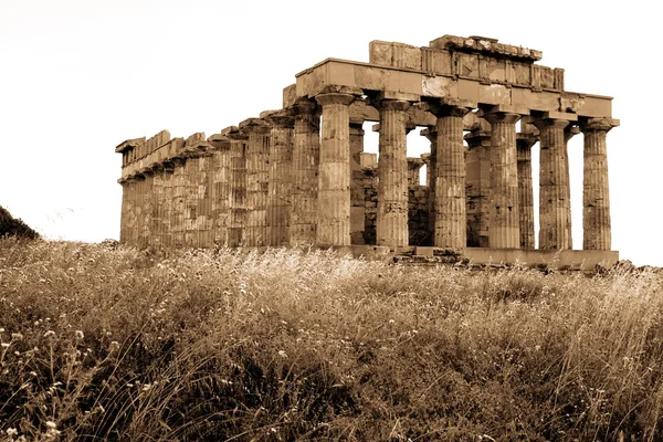 Yunan tapınağı selinunte, Sicilya — Stok fotoğraf