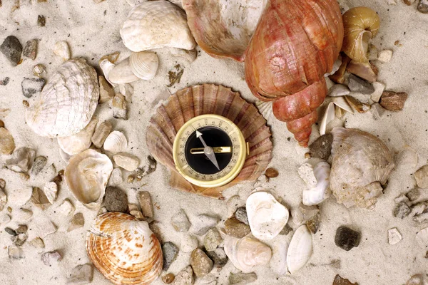 Sea Shells and Compass on sand — Stock Photo, Image