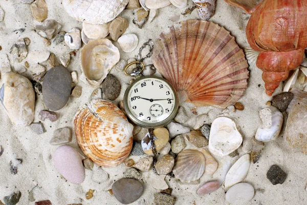 Морські мушлі та старовинні годинники — стокове фото