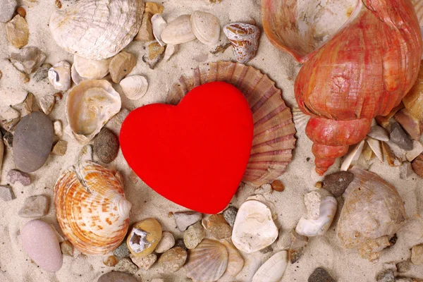 stock image Sea Shells and red heart in sand