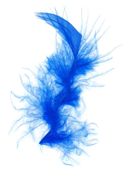 Blauwe veren geïsoleerd op wit — Stockfoto
