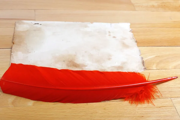 빨간 깃털 펜과 종이 — 스톡 사진