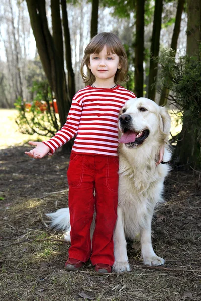 Little girl with big retriever outdoor — Stock Photo, Image