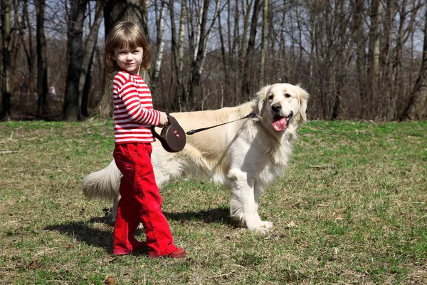 小女孩用大猎犬 — 图库照片
