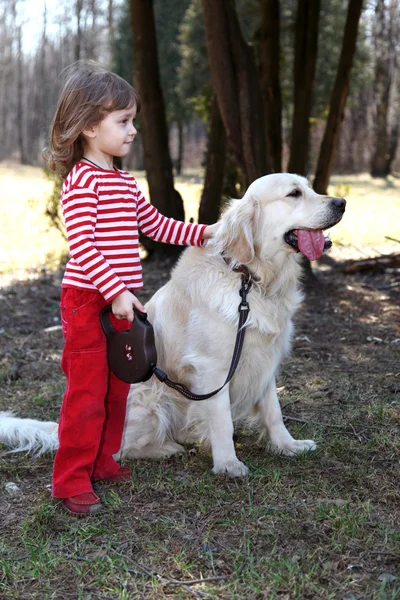 Friends - little girl with big retriever — Stock Photo, Image
