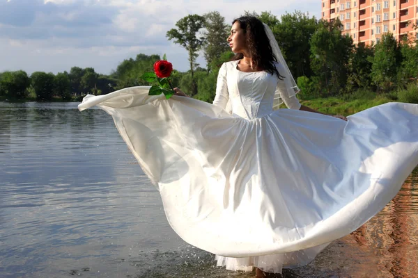 Невеста с красной розой — стоковое фото