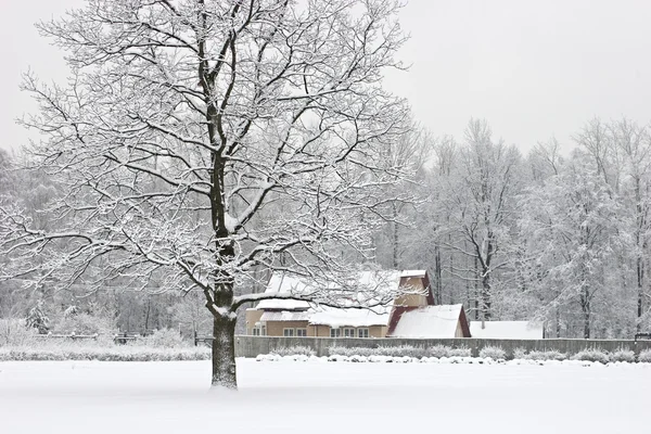 stock image After snowstorm.