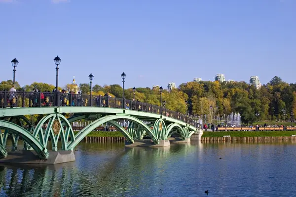 stock image Bridge