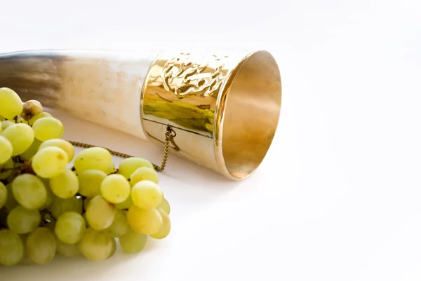 stock image Horn and vine