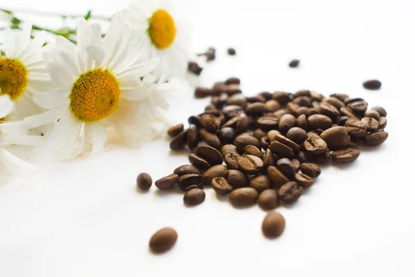 곡물 커피와 daisywheelSzemes kávé- és daisywheel — Stock Fotó