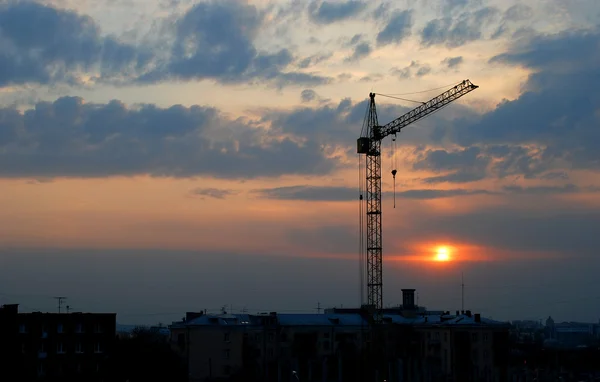 stock image Crane