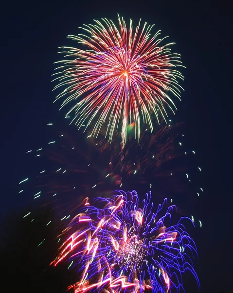 stock image Firework