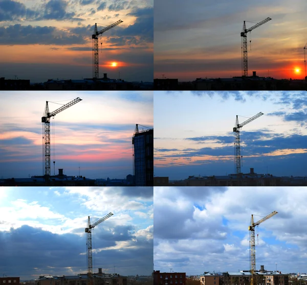 stock image Crane