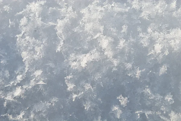 Śnieg — Zdjęcie stockowe