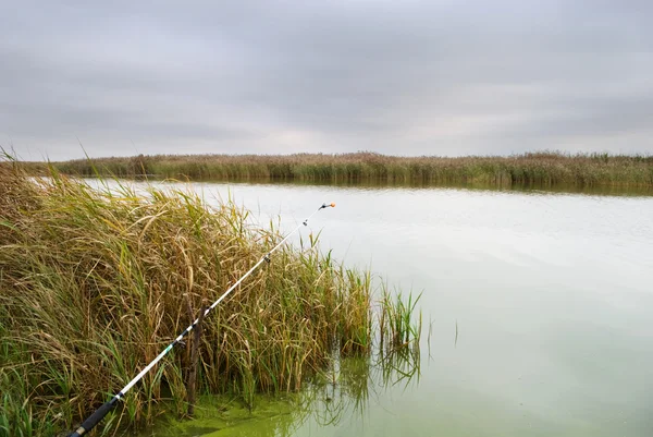 stock image Fishing autumn