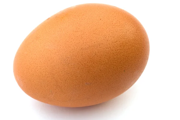 Chicken egg. — Stock Photo, Image