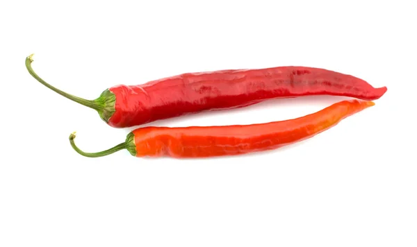 Δύο κόκκινο πιπέρι. — Φωτογραφία Αρχείου