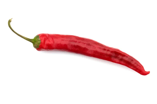 Hot pepper. — Stock Photo, Image