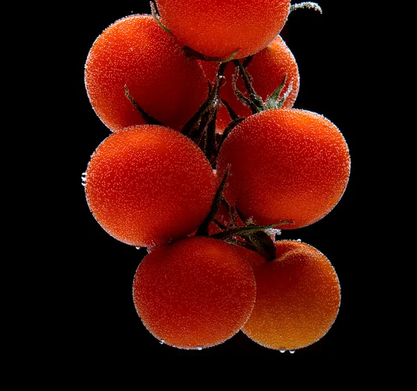 Branch of tomatoes cherry — Stock Photo, Image