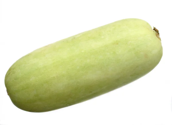 Ripe vegetable marrow. — Stock Photo, Image