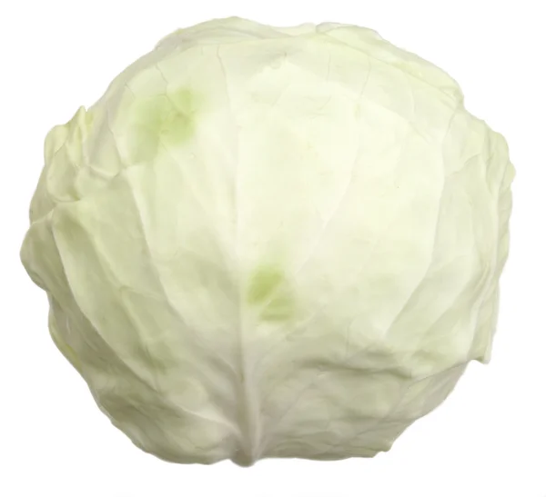 Headed cabbage. — Stock Photo, Image
