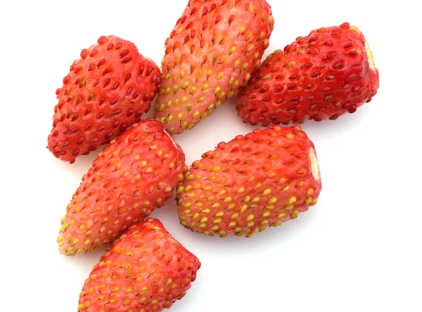 Garden wild strawberry. — Stock Photo, Image
