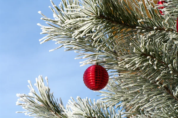 신년 나무. — 스톡 사진