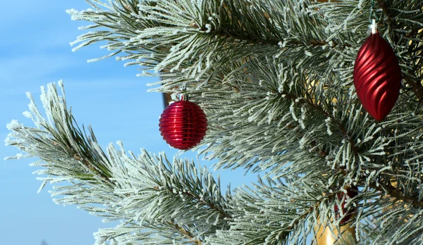 Árvore Natal. — Fotografia de Stock