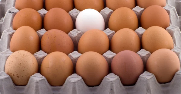 Hintergrund aus Eiern. — Stockfoto